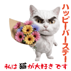 私は猫が大好きです！