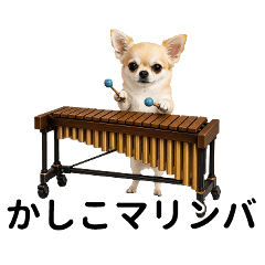 Chihuahua Puns