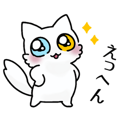Teary-eyed kitty * odd-eyed