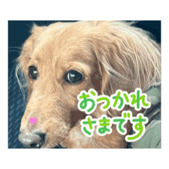 rina_20260522163636