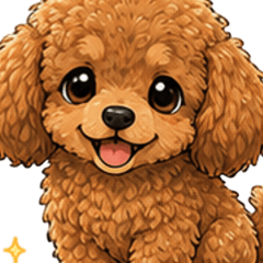 Everyday Red Toy Poodle