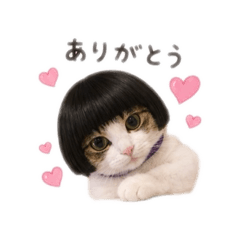 oreo_20260519141529