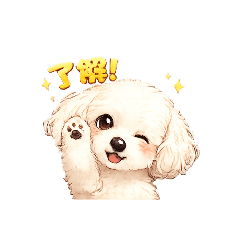 aiko_20260519141158