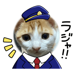 cat_20260519190124
