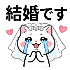 Happy Crying Cat "Pien...