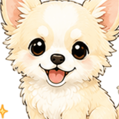 Everyday Cream Chihuahua