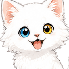 Everyday Odd-Eyed White Cat