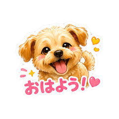 Maltipoo_MUGI