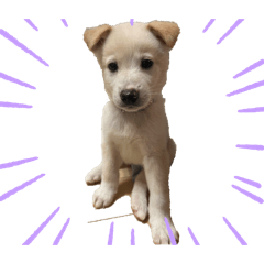 poooo_20260519190149