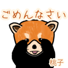 Momoko's lesser panda (2)