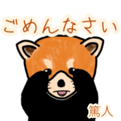 Atsuhito.Etc's lesser panda
