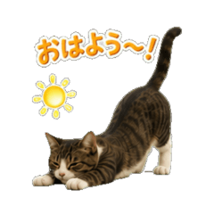 Daily Chat Stickers1009