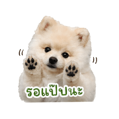 khaojee love to travel_20260428184125