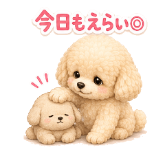A gently caring poodle