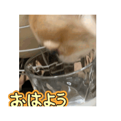 suzu_20260523135552