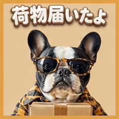 Cool Frenchie Daily Stickers