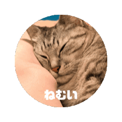 まゆげとまつげのスタンプ