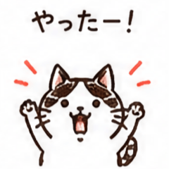 Tama's laid-back drawings