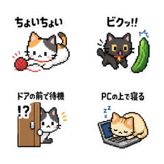 Cat Behavior Pixel Art Stickers