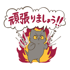 Chatty Munchkin Cat