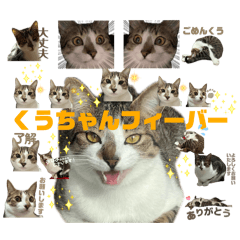 kuuchan_okutiiinioi