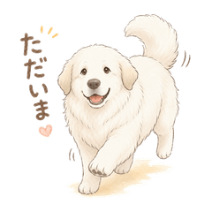 Fluffy Samoyed Daily Words