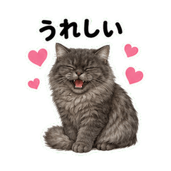 Miisha Feeling Stickers