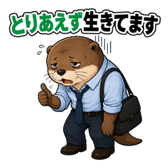 Expat Otter