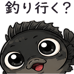 [Emotions conveyed] Pop black rockfish