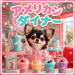 american diner chihuahua p
