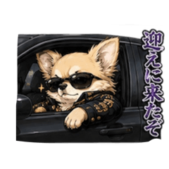 osakanasan_20260519210232