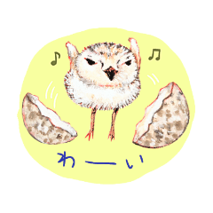 パカッとヒナまにあ