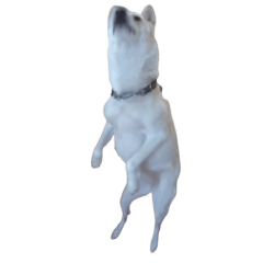 Create from a frame in a video