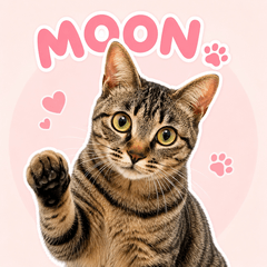 MOON the Tabby Cat Stickers
