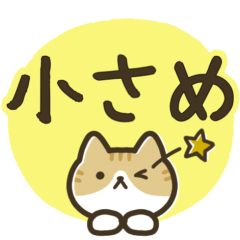 A very cute red tabby and white cat.