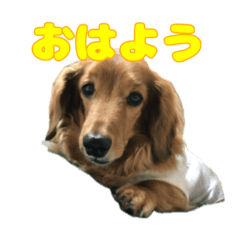 Gure_20260519173349