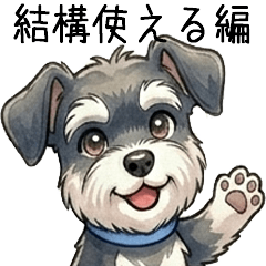 Schnauzer boy A2 daily
