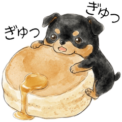 daradaradog