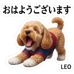 Leo Cool Daily Stickers Vol01