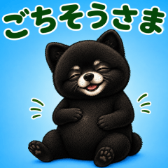 Roly-Poly Black Pomeranian
