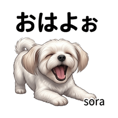 Sora Chiizu Dog Stickers Vol01