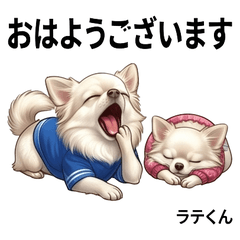 Latte Cute Dog Stickers Vol01