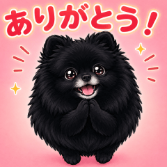 Fluffy Black Pom Greetings