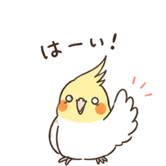 Cute Cockatiel Stickers OKAME