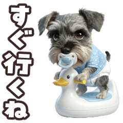 動く！赤ちゃんシュナウザー