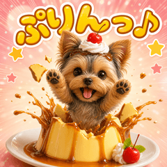Everyday Pudding Yorkie