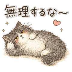 毎日寄り添う不機嫌ねこ