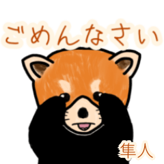 Hayato.Etc's lesser panda