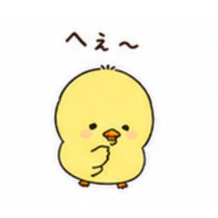 ken_20260519185028