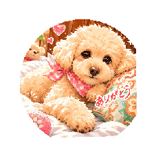 mimi_20260525080508